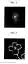 Fig. 05 - Image encoding and decoding method and apparatus, and computer-readable recording medium storing program for executing the method