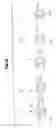Fig. 17 - Jet shower apparatus for providing jets of fluid