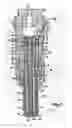 Fig. 02 - Fluid injection device