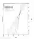 Fig. 09 - Method and apparatus for automated beam optimization in a scanning electron microscope