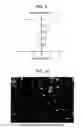 Fig. 09 - Crystalline semiconductor thin film, method of fabricating the same, semiconductor device, and method of fabricating the same