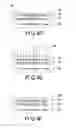 Fig. 05 - Power rectifier and manufacturing method thereof