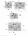 Fig. 03 - Reprogrammable fuse structure and method