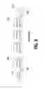 Fig. 08 - Non-volatile memory cells without diffusion junctions