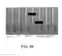 Fig. 56 - Patterned contact