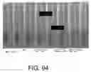 Fig. 56 - Profiled contact