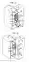 Fig. 07 - Door and window securement apparatus and method of use thereof