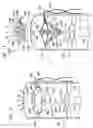Fig. 06 - System, and associated method, for recovering water from air