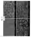 Fig. 06 - Method of producing a piezoelectric actuator