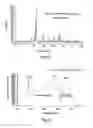 Fig. 07 - White LED