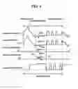 Fig. 05 - Plasma display panel and method of manufacturing the same