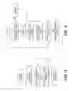 Fig. 06 - Location detection system for a patient handling device