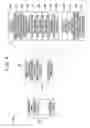 Fig. 07 - Information generating device, information generating method, information generating program and storing medium storing the program
