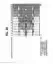 Fig. 33 - Display driving method and apparatus