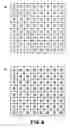 Fig. 09 - Electrophoretic display apparatus and driving method thereof