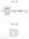 Fig. 16 - Electronic device for inputting user command 3-dimensionally and method for employing the same
