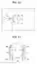 Fig. 10 - Method and apparatus for detecting face orientation, and recording medium having recorded program for executing the method