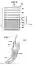 Fig. 07 - Liquid crystal device and electronic apparatus