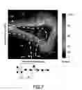 Fig. 06 - Image quality in an image display device