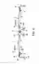 Fig. 09 - Pair of eyeglasses with two lens units pivotable between two temples