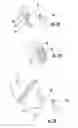 Fig. 08 - TEMPLE BAR WITH BALL AND SOCKET HINGE
