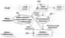 Fig. 01 - Multitask vision architecture for refractive vision corrections