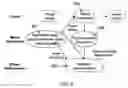 Fig. 04 - Multitask vision architecture for refractive vision corrections