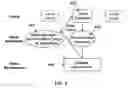 Fig. 05 - Multitask vision architecture for refractive vision corrections