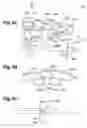 Fig. 03 - Spectroscopic analyzing apparatus