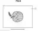 Fig. 07 - Printing machine