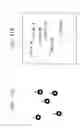 Fig. 07 - Method and apparatus for detecting specific pattern and copying machine including the same