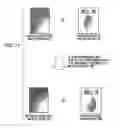 Fig. 13 - Apparatus, method and program for processing an image