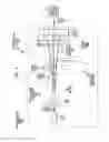 Fig. 12 - Sensing absolute position of an encoded object