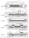 Fig. 06 - Wavelength conversion system, optical integrated device and wavelength conversion method