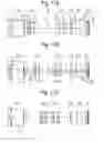 Fig. 12 - Optical path bending type zoom lens system and image taking apparatus including the same