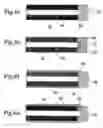 Fig. 07 - Light emitting device