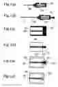 Fig. 14 - Light emitting device