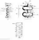 Fig. 01 - Microfluidic mixer