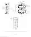 Fig. 02 - Microfluidic mixer