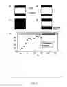 Fig. 07 - Microfluidic mixer