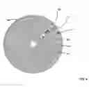 Fig. 06 - Rotation responsive disk activation and deactivation mechanisms