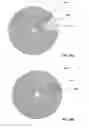 Fig. 41 - Rotation responsive disk activation and deactivation mechanisms