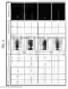 Fig. 06 - Information recording medium including a predetermined pattern for detecting and RF signal, a method of determining an optimal recording condition using the predetermined pattern, and a recording and/or reproducing apparatus using the information recording medium