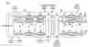 Fig. 01 - Low complexity beamforming for multiple antenna systems