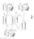 Fig. 05 - Script-based parser