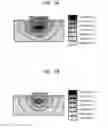 Fig. 05 - Ridge-waveguide semiconductor laser diode