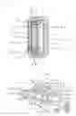 Fig. 06 - Clinical thermometer