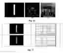 Fig. 13 - Method and system for estimating motion and compensating for perceived motion blur in digital video