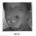 Fig. 28 - Authentication of secure items by shape level lines