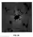 Fig. 29 - Authentication of secure items by shape level lines